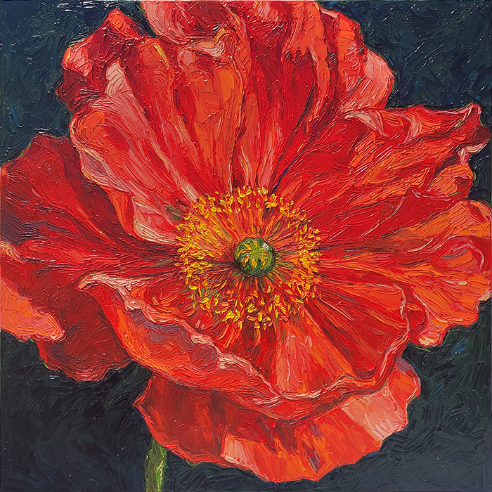 Poppy — palette-knife oil painting by Evgeny Maximov