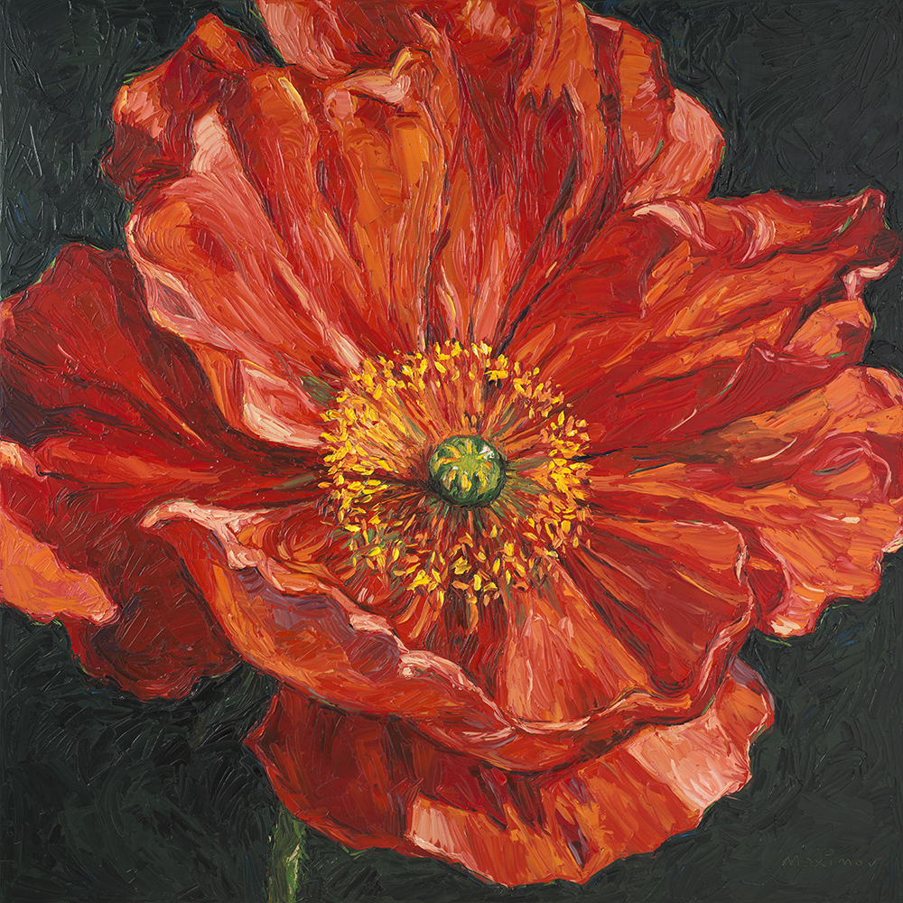 Poppy — palette-knife oil painting by Evgeny Maximov