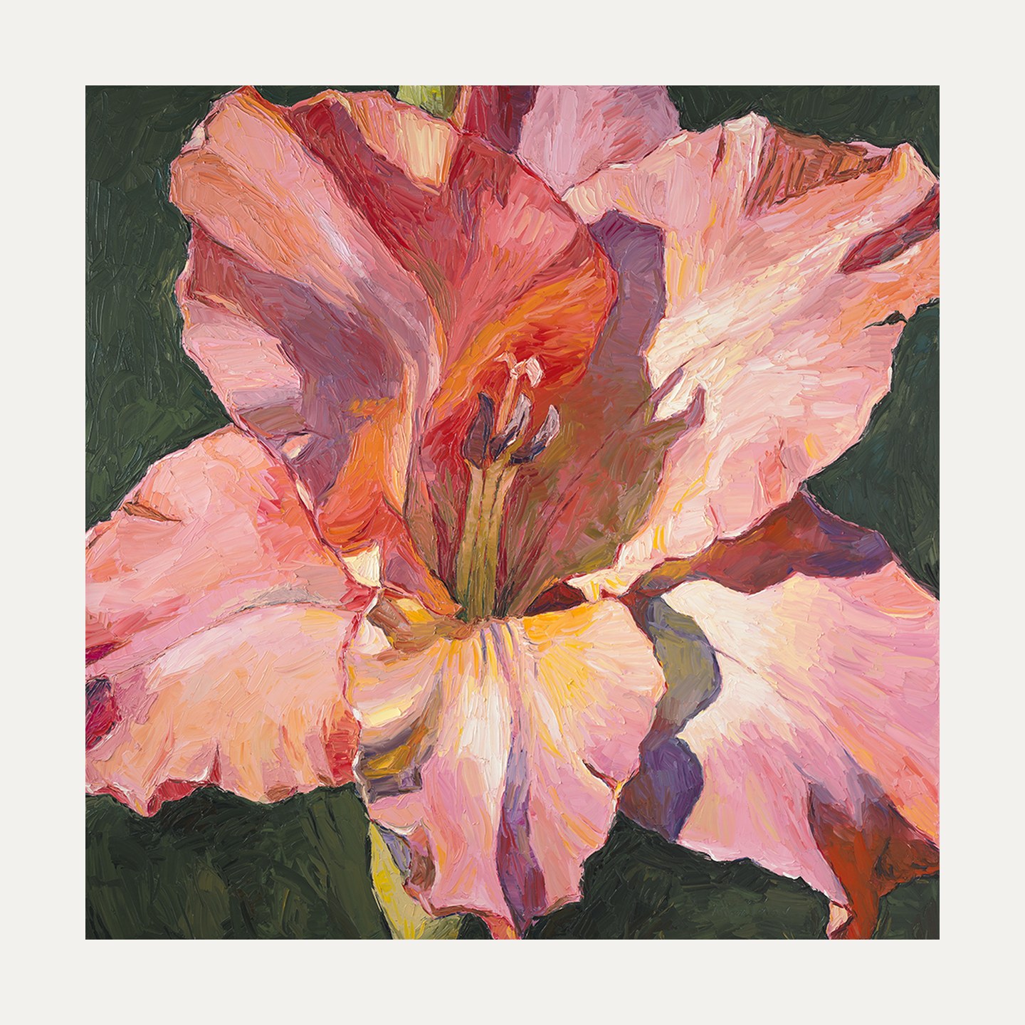 Gladiolus — limited edition fine art print, 50 × 50 cm image on 60 × 60 cm Hahnemühle paper