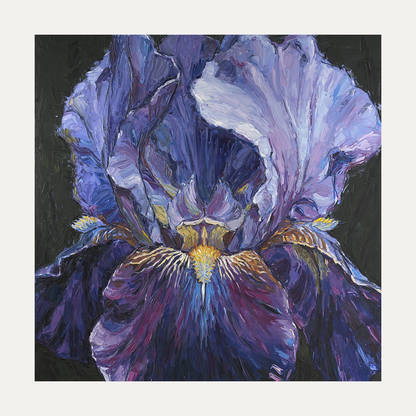 Iris — limited edition fine art print, 50 × 50 cm image on 60 × 60 cm Hahnemühle paper
