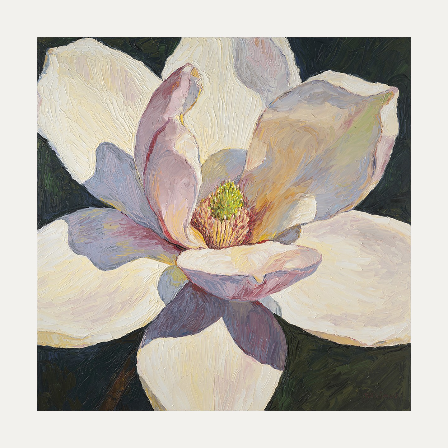 Magnolia — limited edition fine art print, 50 × 50 cm image on 60 × 60 cm Hahnemühle paper
