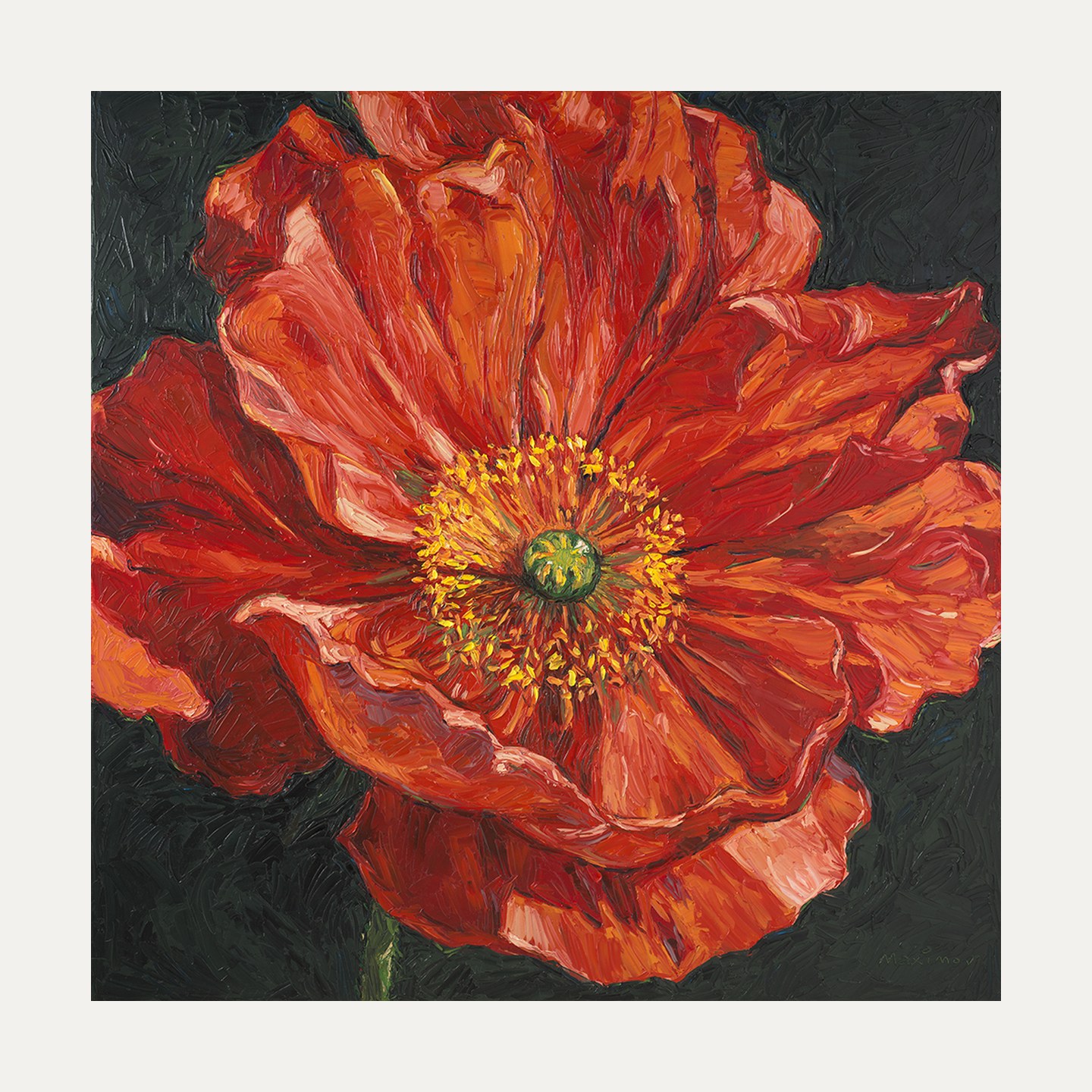Poppy — limited edition fine art print, 50 × 50 cm image on 60 × 60 cm Hahnemühle paper