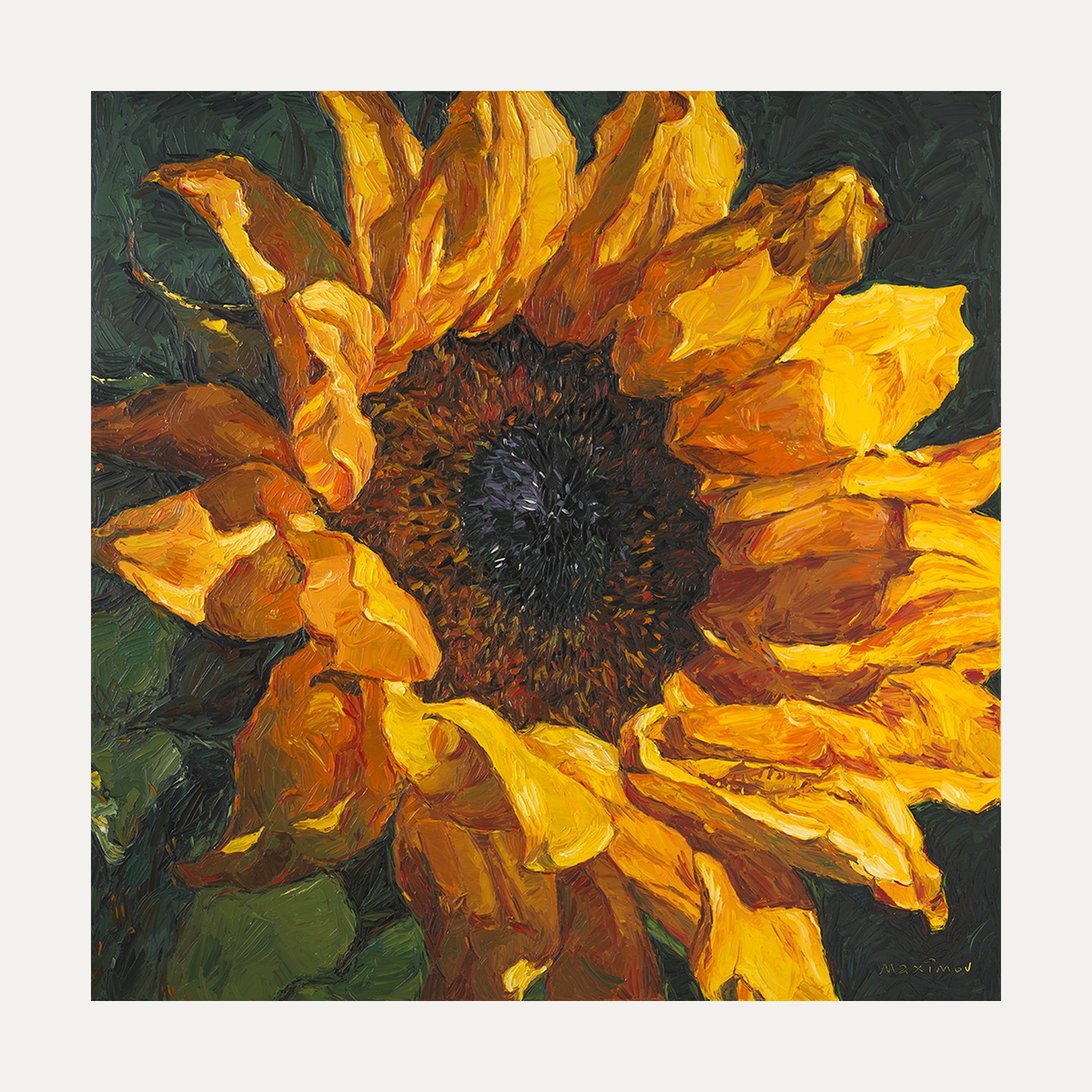 Sunflower — limited edition fine art print, 50 × 50 cm image on 60 × 60 cm Hahnemühle paper