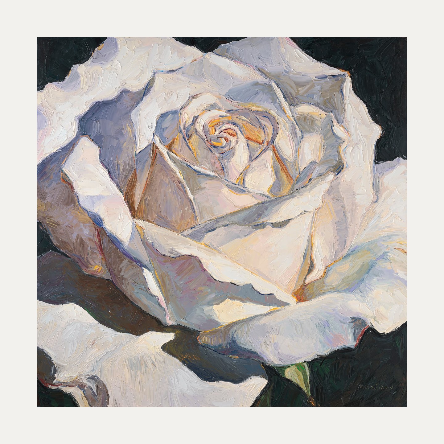 White Rose — limited edition fine art print, 50 × 50 cm image on 60 × 60 cm Hahnemühle paper