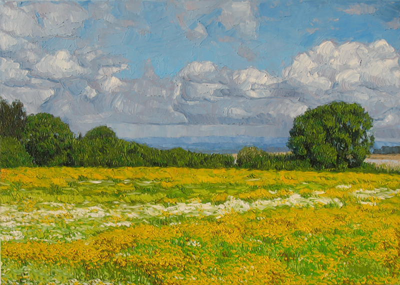 Summer Meadow — palette-knife oil painting by Evgeny Maximov (sold)