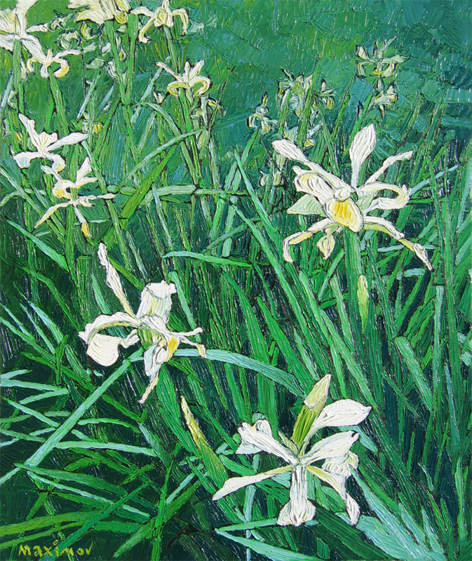 White Irises — palette-knife oil painting by Evgeny Maximov (sold)